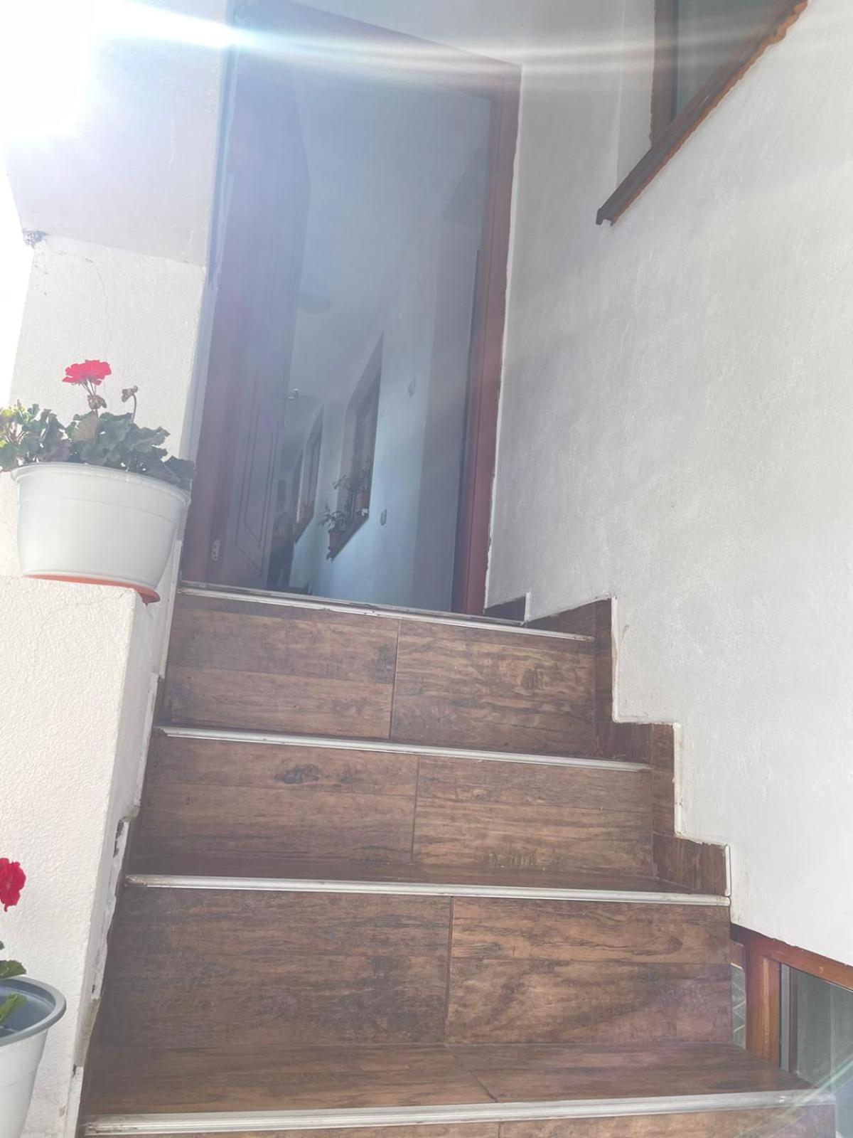 Casa Noastra Daire Călimăneşti Dış mekan fotoğraf